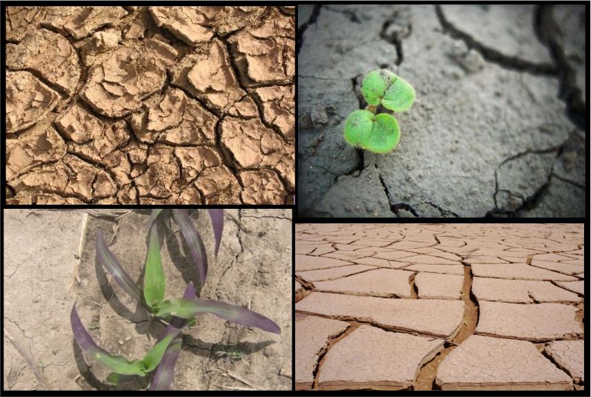 Erosión En Suelos Agrícolas De Regadío | IRiego