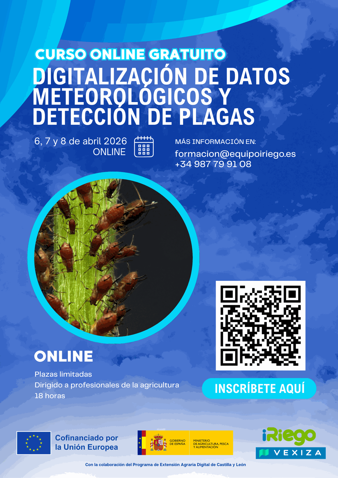 Odoo - Prueba 1 a tres columnas